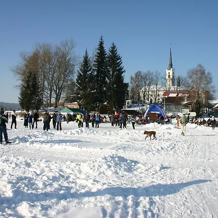 Pension Terezka Frymburk Exterior photo